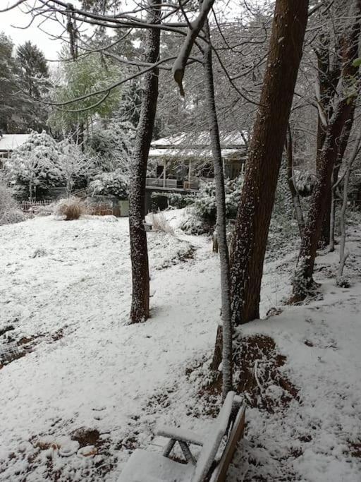 Comfortable Chalet In A Unique Location In Forest Essen Dış mekan fotoğraf