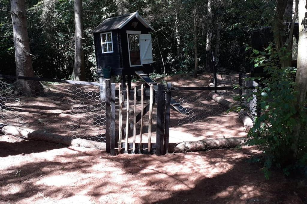 Comfortable Chalet In A Unique Location In Forest Essen Dış mekan fotoğraf